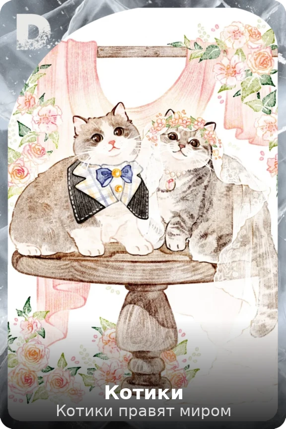 Котики