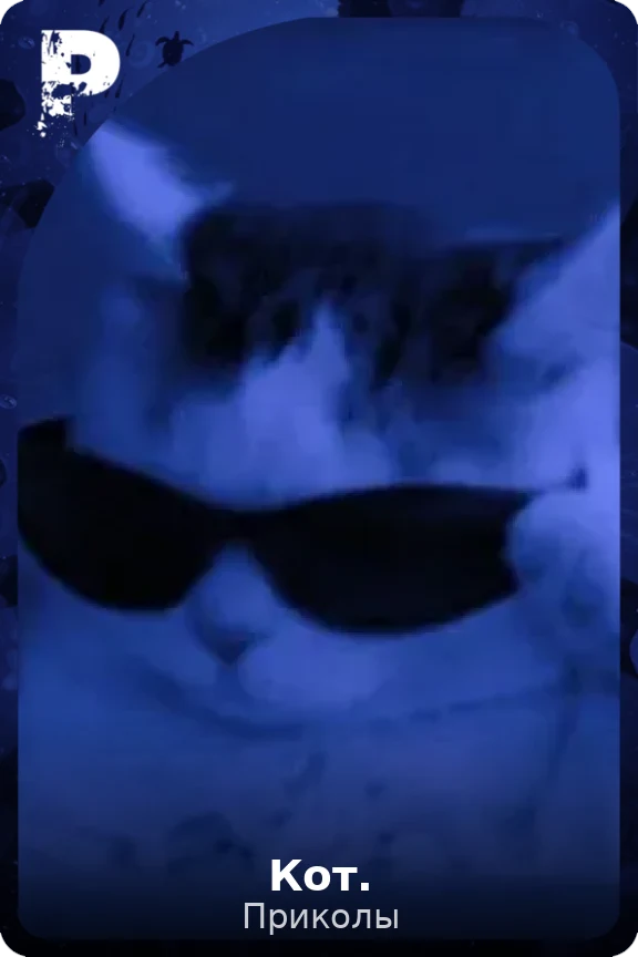 Кот.