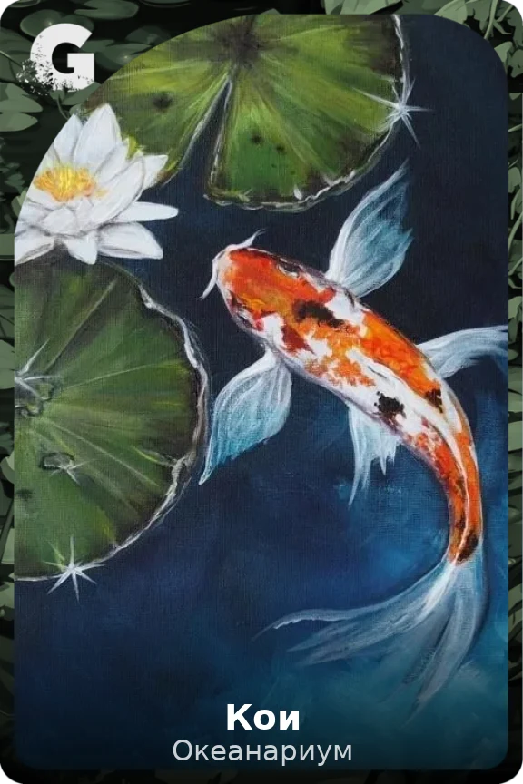 Кои