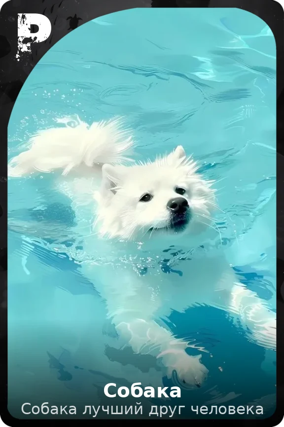 Собака