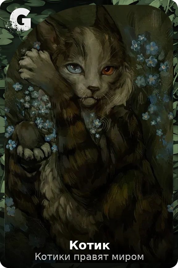 Котик