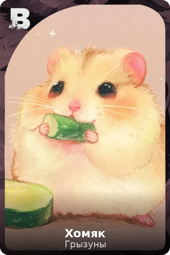 Хомяк