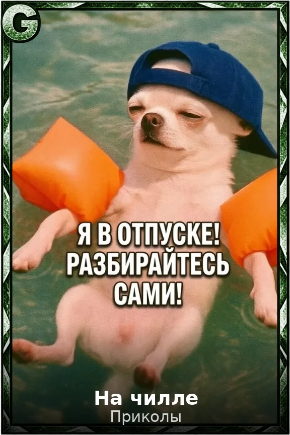 На чилле