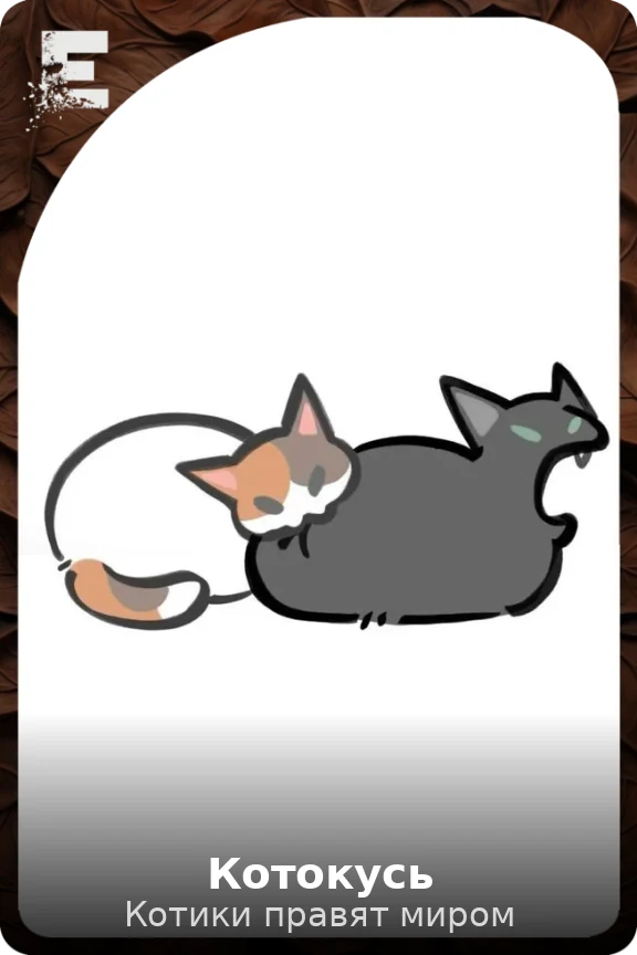 Котокусь