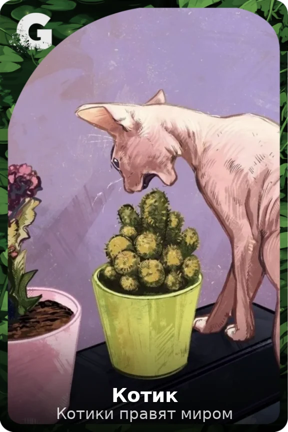 Котик