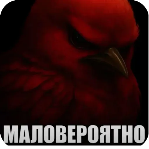 Стикер
