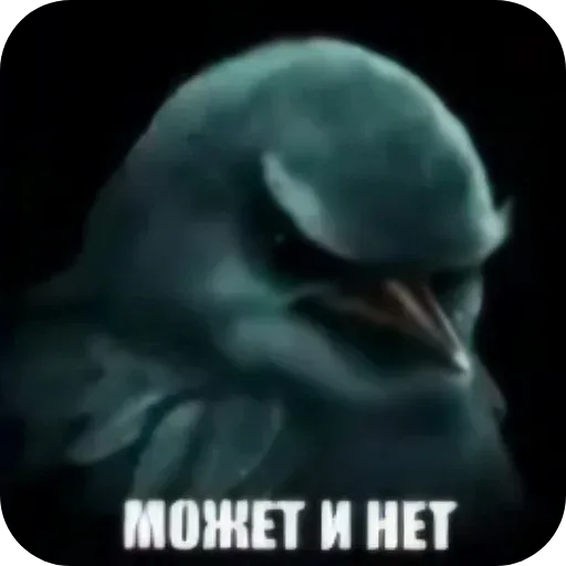 Стикер