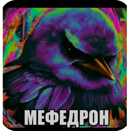 Стикер